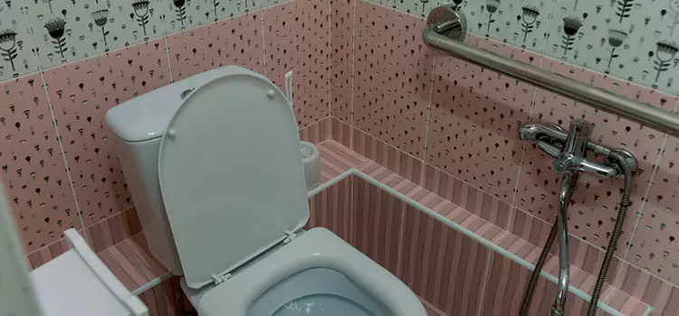 Meeting Diverse Needs With Accessible Restroom Solutions in Bothell West, WA