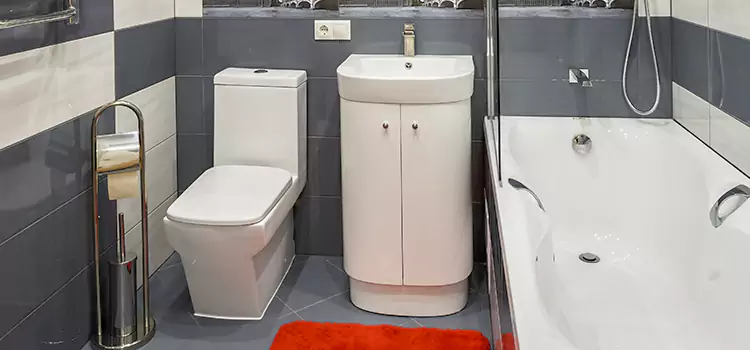 Hansgrohe Shaving Mirror Bothell West